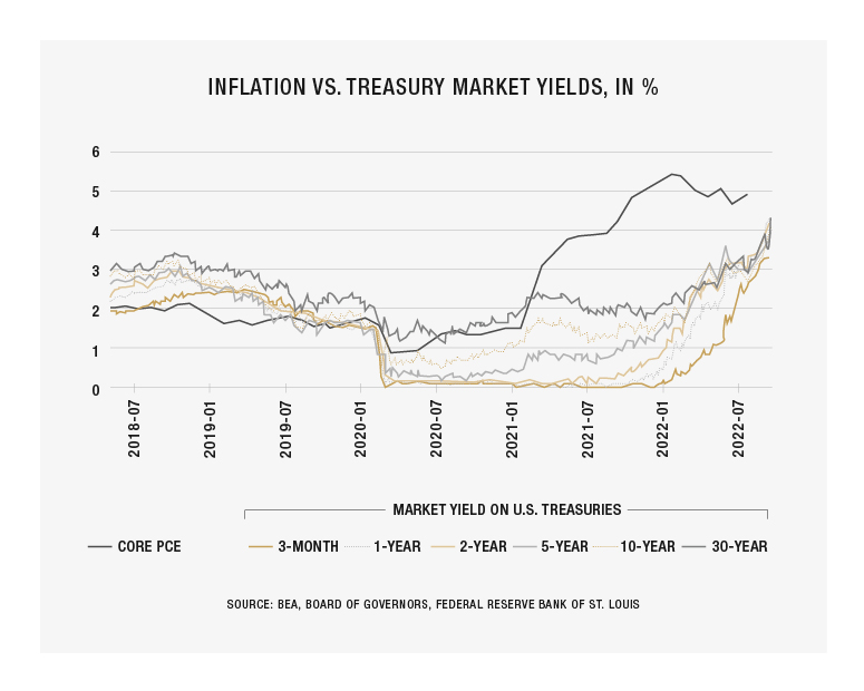 InflationVSTreasury