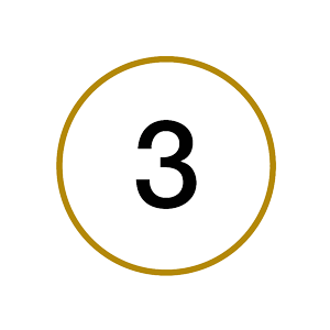 Circle with the number 3 in the center graphic.