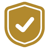 Protection Shield Icon