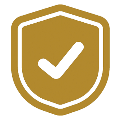 Protection Shield Icon