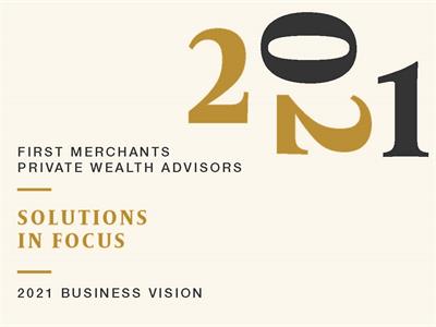 The Long View 2021 Business Vision Solutions in Focus graphic